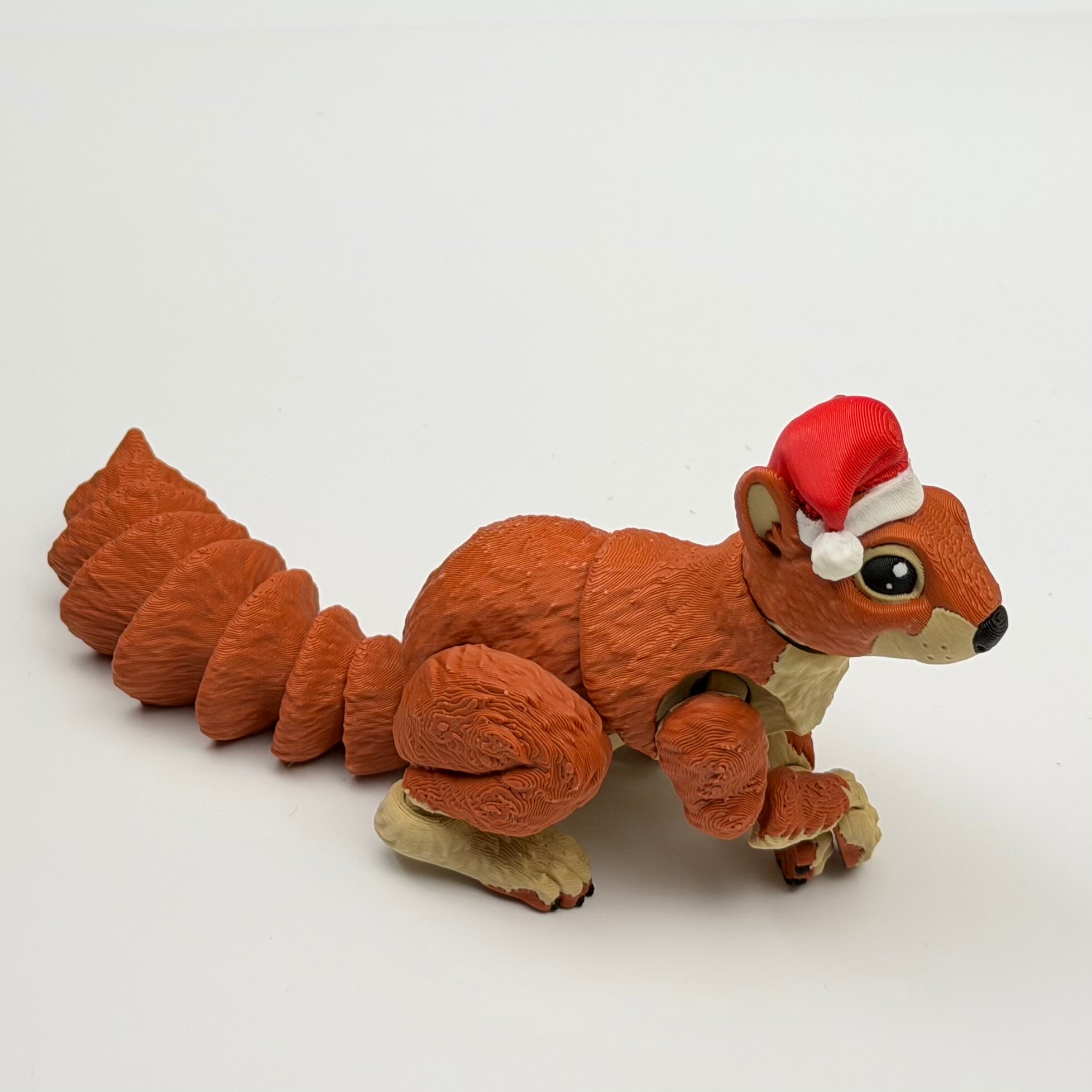 Squirrel