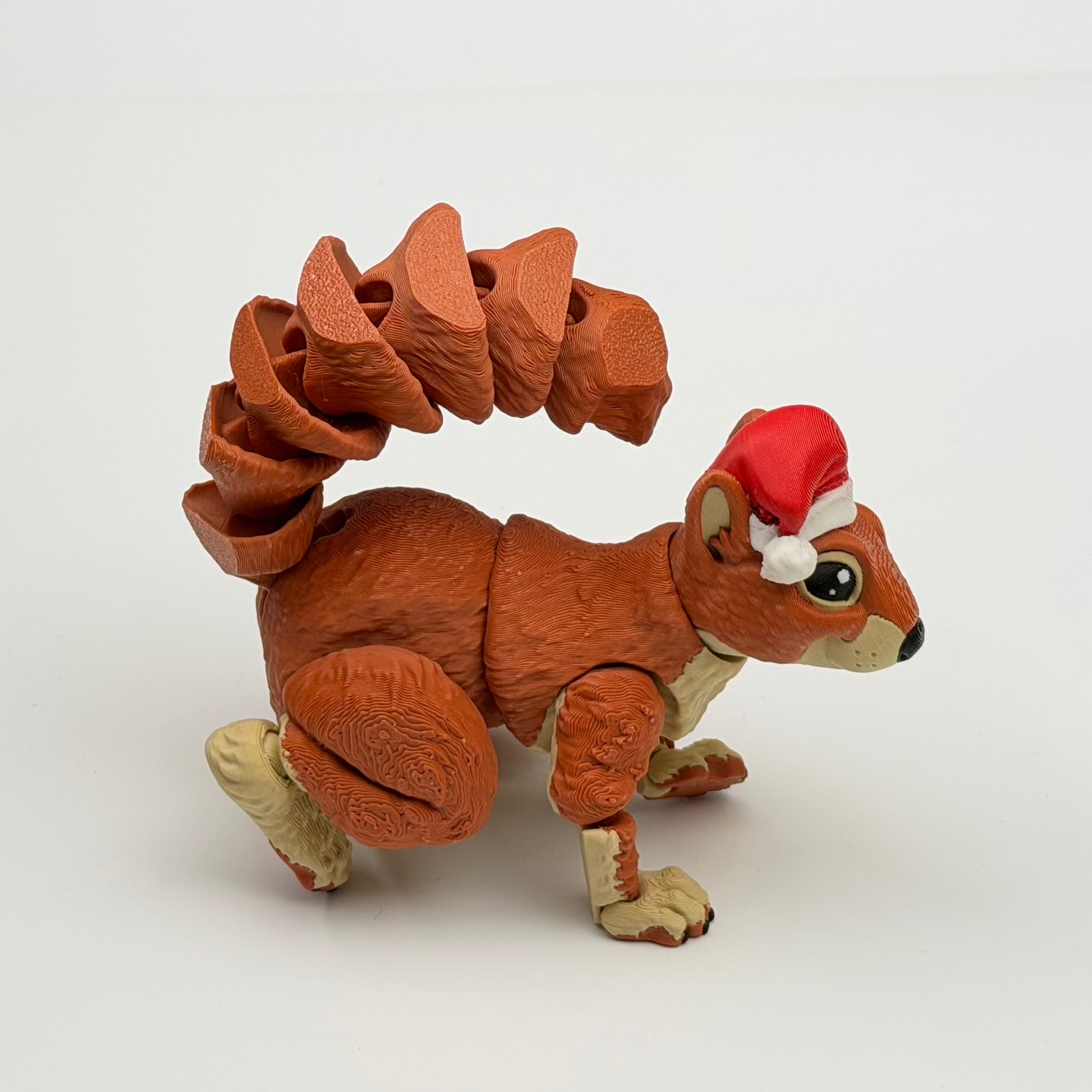 Squirrel