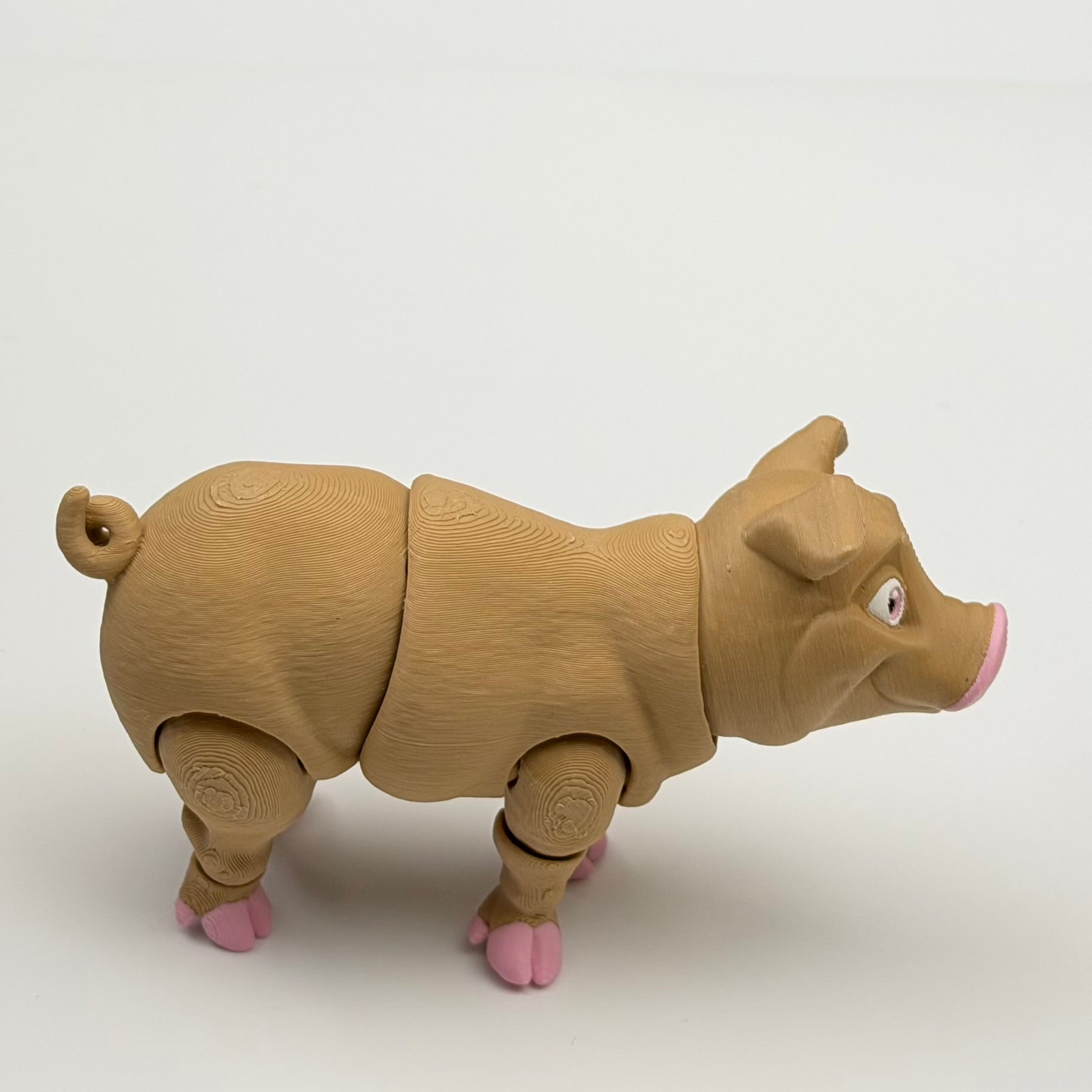 Pig