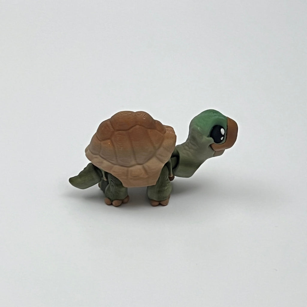 Tortoise