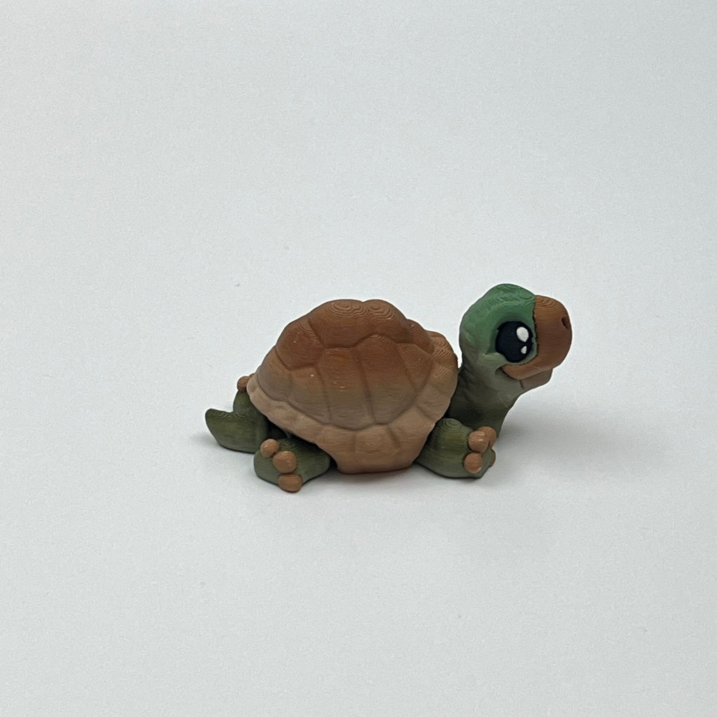 Tortoise