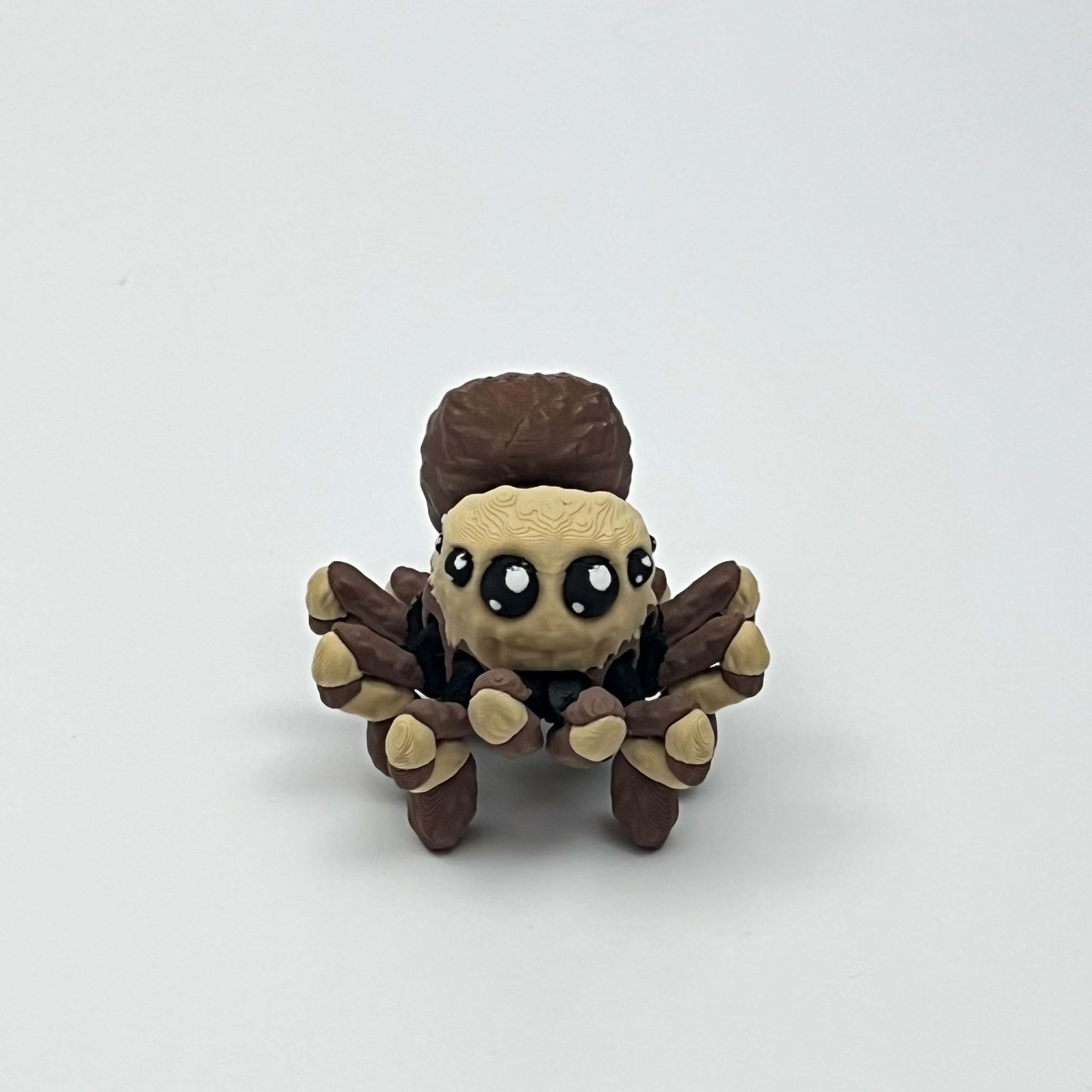 Spider