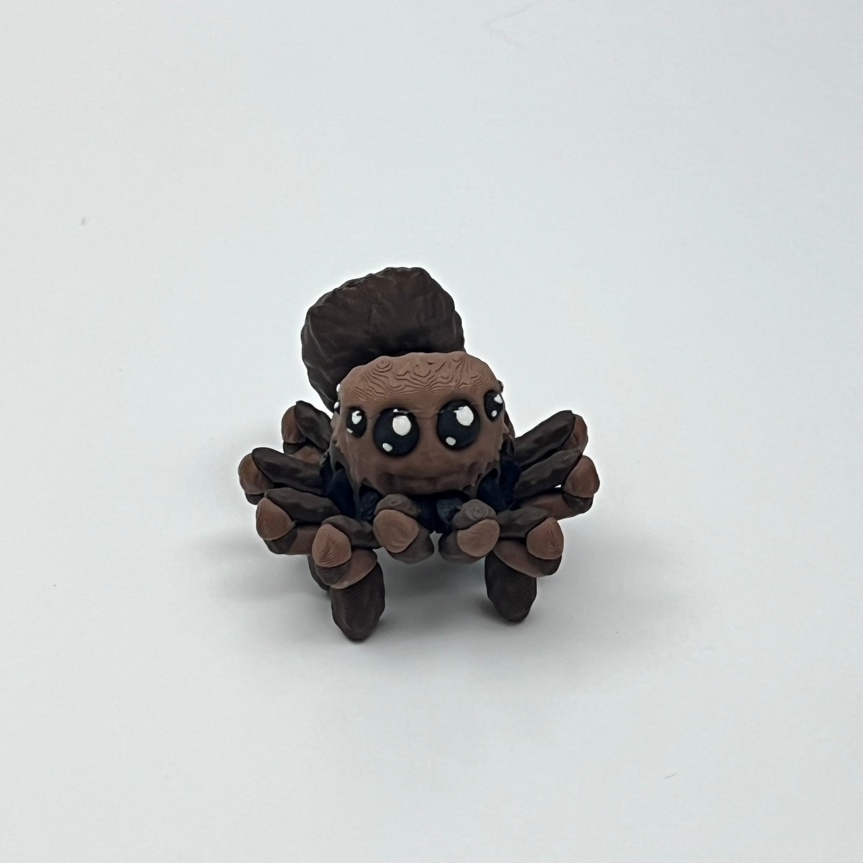 Spider