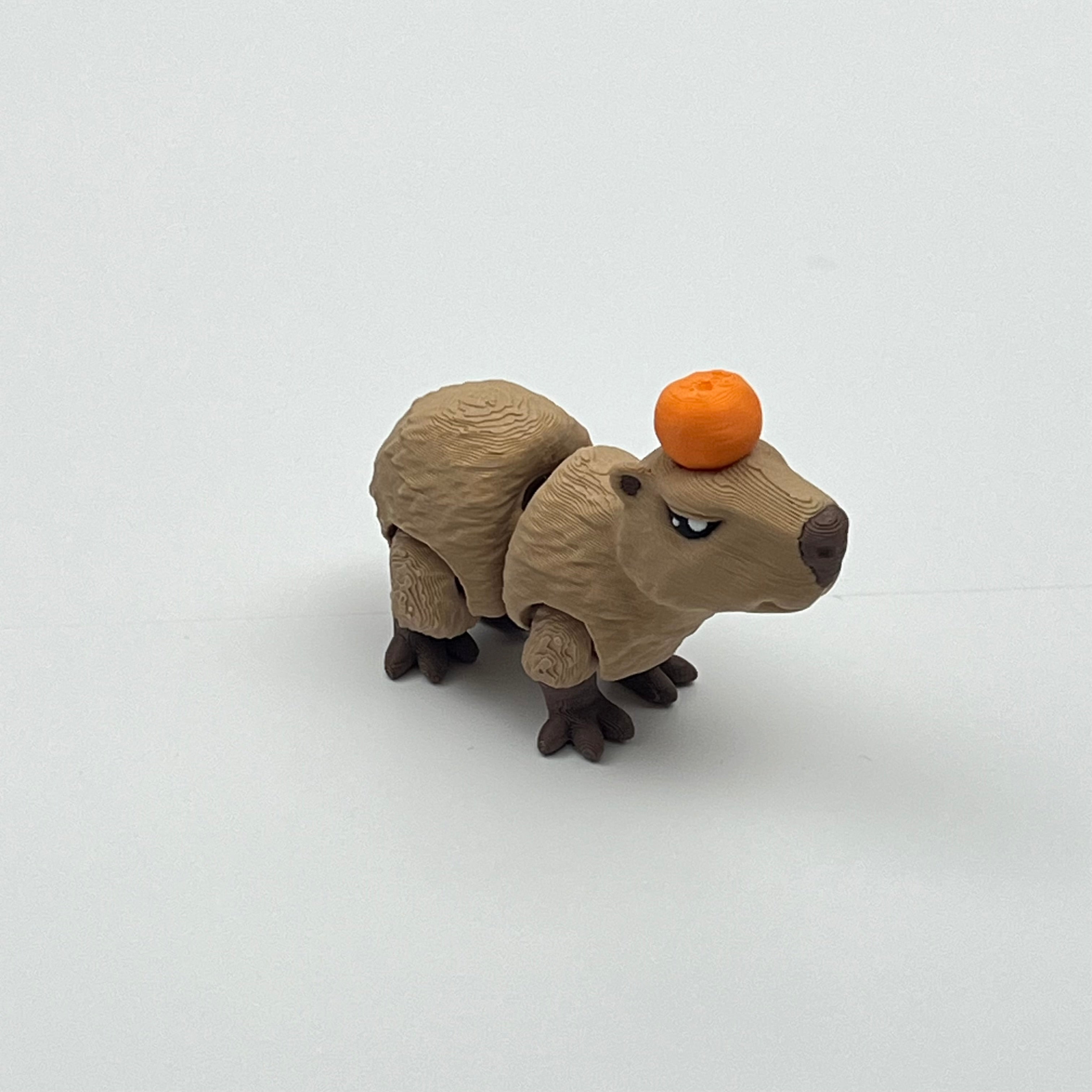 Capybara with Fruit